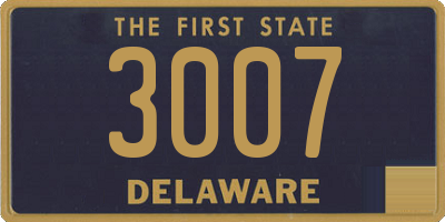 DE license plate 3007