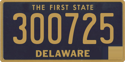 DE license plate 300725