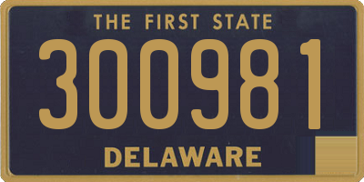 DE license plate 300981