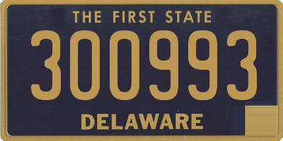 DE license plate 300993