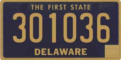 DE license plate 301036
