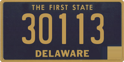 DE license plate 30113