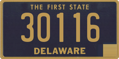 DE license plate 30116