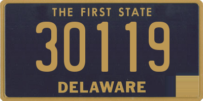 DE license plate 30119