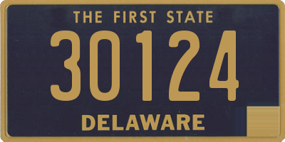 DE license plate 30124