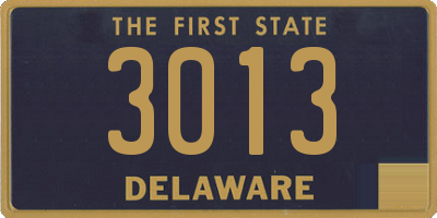 DE license plate 3013