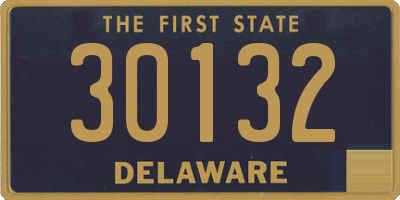 DE license plate 30132