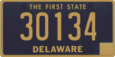 DE license plate 30134