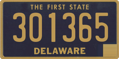 DE license plate 301365