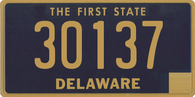 DE license plate 30137