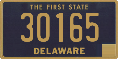 DE license plate 30165