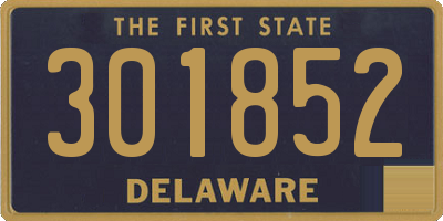 DE license plate 301852