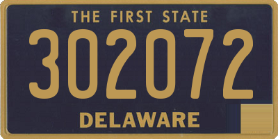 DE license plate 302072