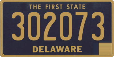 DE license plate 302073