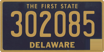 DE license plate 302085