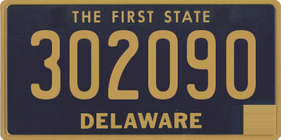 DE license plate 302090