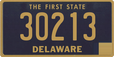 DE license plate 30213