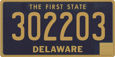 DE license plate 302203