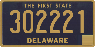 DE license plate 302221