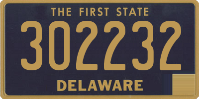 DE license plate 302232