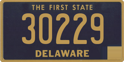 DE license plate 30229