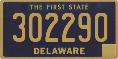 DE license plate 302290