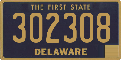 DE license plate 302308