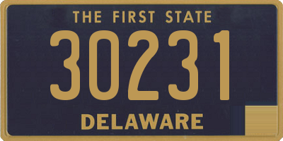 DE license plate 30231