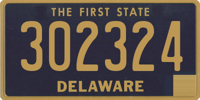 DE license plate 302324