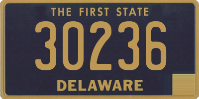 DE license plate 30236