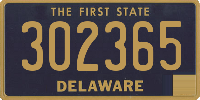 DE license plate 302365