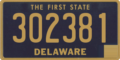 DE license plate 302381