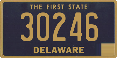 DE license plate 30246