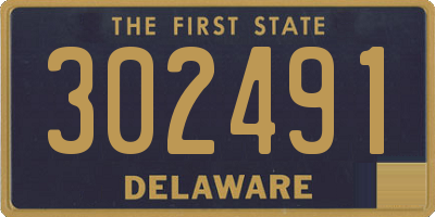 DE license plate 302491