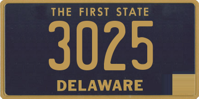 DE license plate 3025