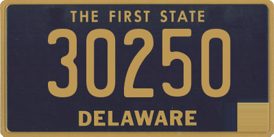 DE license plate 30250