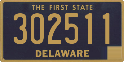 DE license plate 302511