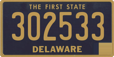 DE license plate 302533