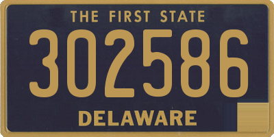 DE license plate 302586