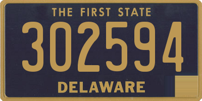 DE license plate 302594