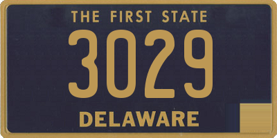 DE license plate 3029