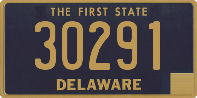 DE license plate 30291