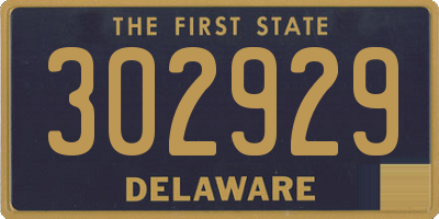 DE license plate 302929