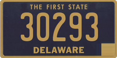 DE license plate 30293