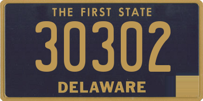 DE license plate 30302