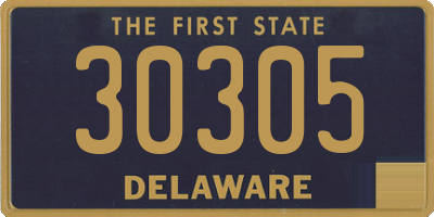 DE license plate 30305