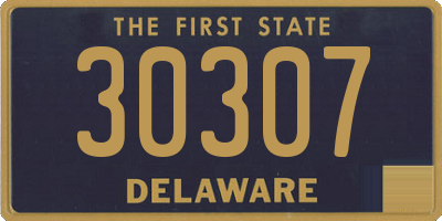 DE license plate 30307