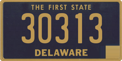 DE license plate 30313