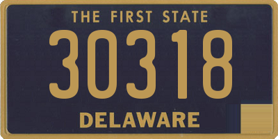 DE license plate 30318