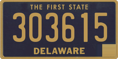 DE license plate 303615